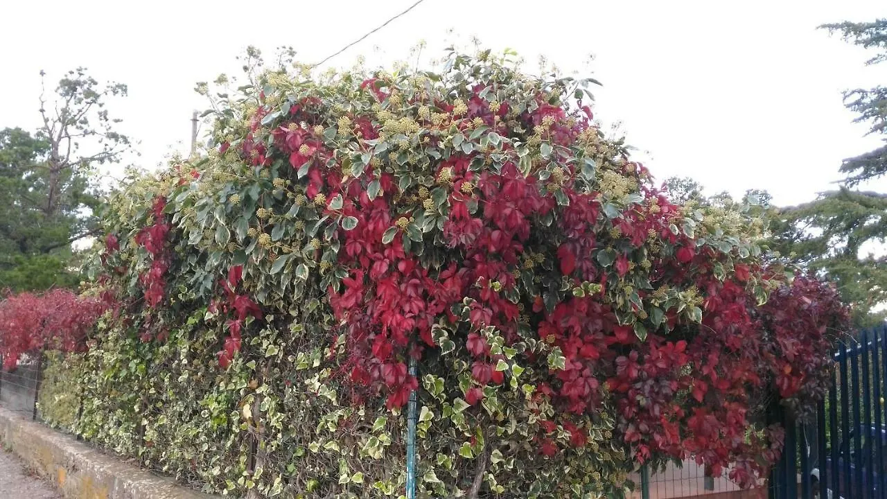 מלון ברונטה A Casa Di Norma בית נופש